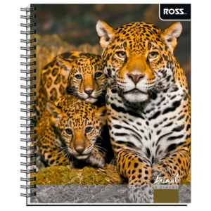 Cuaderno Ross Universitario Animal & Places