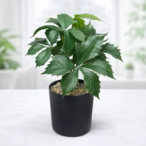 Planta Artificial Decorativa en Maceta | 25 x 15 cm