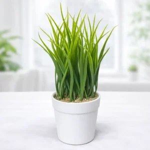 Planta Artificial Decorativa en Maceta | 25 x 15 cm