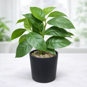 Planta Artificial Decorativa en Maceta | 25 x 15 cm